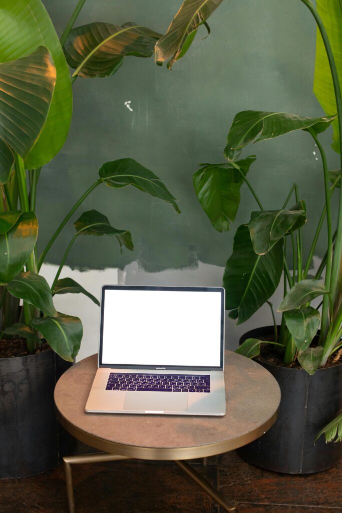 pexels-ekaterina-bolovtsova-6372829 Peaceful desk scene with laptop and large green plants — tranquil creative environment for design inspiration.