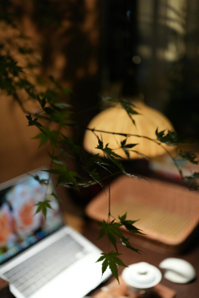 pexels-sofie-wu-2154966588-33477533 Cozy evening workspace with laptop, teacup, and leafy plant under warm light — Clear Path Studio calm design aesthetic.